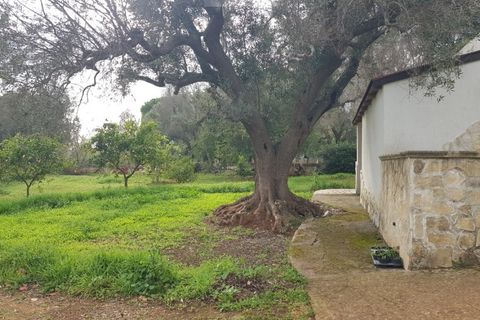 Villa a Carovigno, Brindisi, Carovigno - € 150.000 | Ref: sold v2 - foto 15