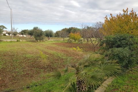 Villa a Carovigno, Brindisi, Carovigno - € 150.000 | Ref: sold v2 - foto 16