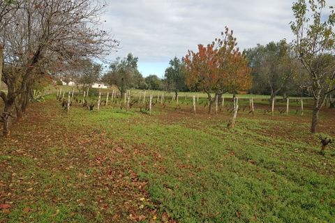 Villa a Carovigno, Brindisi, Carovigno - € 150.000 | Ref: sold v2 - foto 20