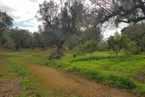 Villa a Carovigno, Brindisi, Carovigno - € 150.000 | Ref: sold v2 - foto 14