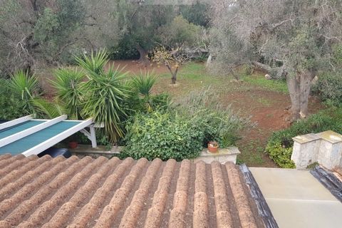 Villa a Carovigno, Brindisi, Carovigno - € 150.000 | Ref: sold v2 - foto 24
