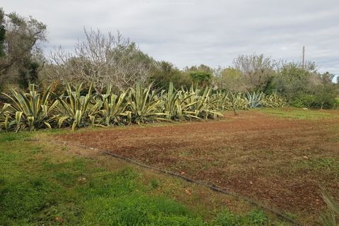 Villa a Carovigno, Brindisi, Carovigno - € 150.000 | Ref: sold v2 - foto 21