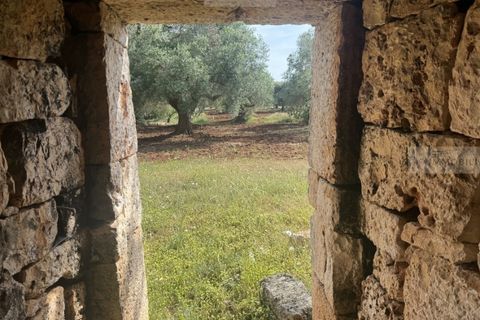 Helårsgrund i Carovigno, Brindisi, Carovigno - € 60.000 | Ref: tem3 - foto 9