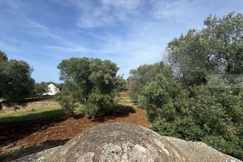 Helårsgrund i Carovigno, Brindisi, Carovigno - € 60.000 | Ref: tem3 - foto 12