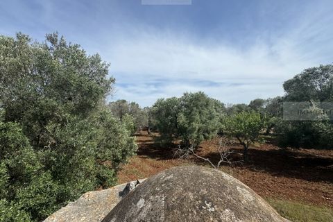 Helårsgrund i Carovigno, Brindisi, Carovigno - € 60.000 | Ref: tem3 - foto 11