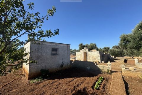 Terra a Carovigno, Brindisi, Carovigno - € 90.000 | Ref: LMM - foto 17