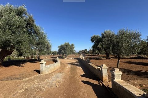 Terra a Carovigno, Brindisi, Carovigno - € 90.000 | Ref: LMM - foto 19