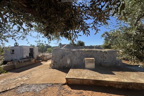 Terra a Carovigno, Brindisi, Carovigno - € 90.000 | Ref: LMM - foto 20