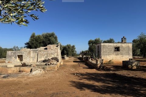 Terra a Carovigno, Brindisi, Carovigno - € 90.000 | Ref: LMM - foto 13