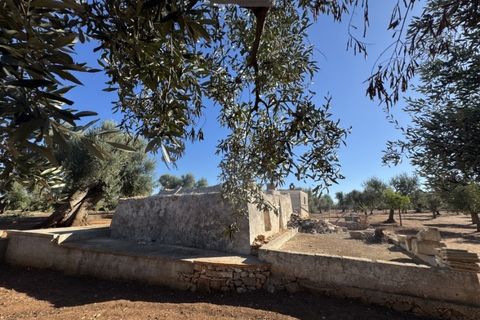 Terra a Carovigno, Brindisi, Carovigno - € 90.000 | Ref: LMM - foto 15