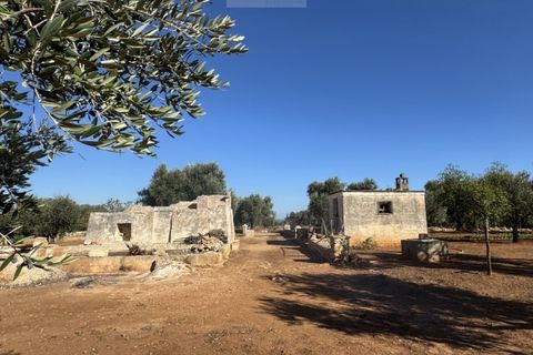 Terra a Carovigno, Brindisi, Carovigno - € 90.000 | Ref: LMM - foto 14