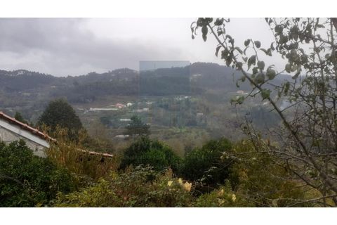 Erhvervsejendom i Amarante, Porto, Amarante - € 465.000 | Ref: 0001FA - foto 4