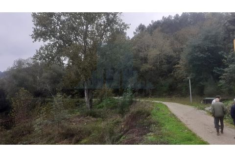 Erhvervsejendom i Amarante, Porto, Amarante - € 465.000 | Ref: 0001FA - foto 5