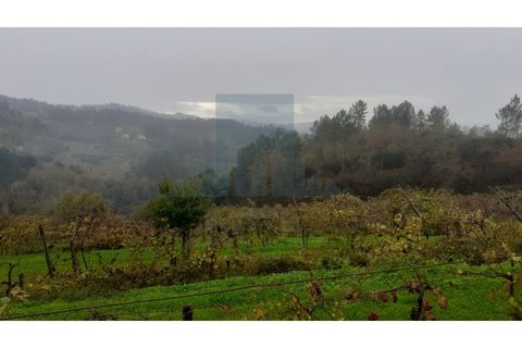 Erhvervsejendom i Amarante, Porto, Amarante - € 465.000 | Ref: 0001FA - foto 7