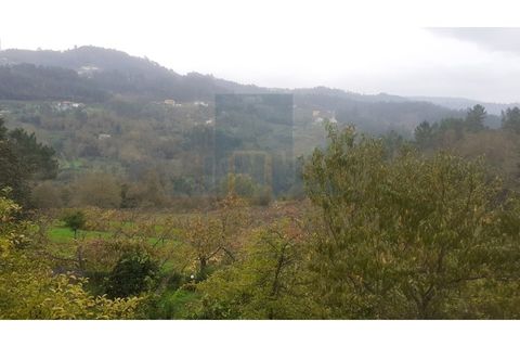 Erhvervsejendom i Amarante, Porto, Amarante - € 465.000 | Ref: 0001FA - foto 8