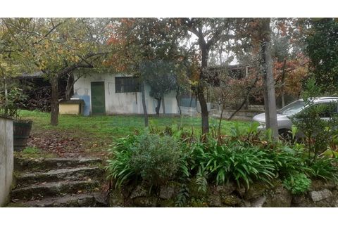Erhvervsejendom i Amarante, Porto, Amarante - € 465.000 | Ref: 0001FA - foto 11