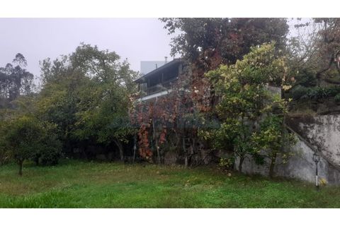 Erhvervsejendom i Amarante, Porto, Amarante - € 465.000 | Ref: 0001FA - foto 19