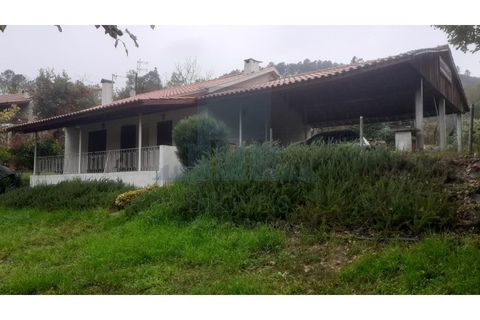 Erhvervsejendom i Amarante, Porto, Amarante - € 465.000 | Ref: 0001FA - foto 3