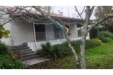 Erhvervsejendom i Amarante, Porto, Amarante - € 465.000 | Ref: 0001FA - foto 31