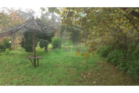 Erhvervsejendom i Amarante, Porto, Amarante - € 465.000 | Ref: 0001FA - foto 42