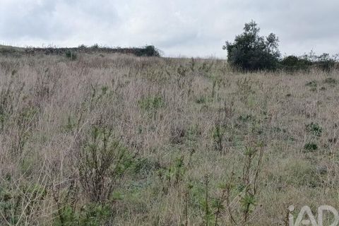 Terra a Alenquer, Lisbon, Alenquer - € 35.000 | Ref: 131633 - foto 12