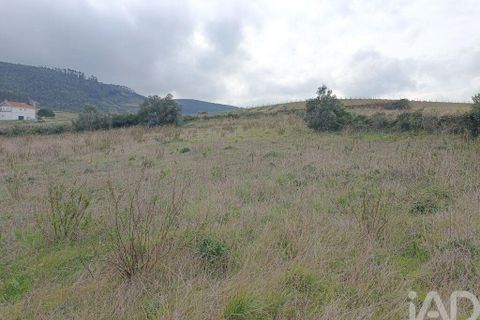 Terra a Alenquer, Lisbon, Alenquer - € 35.000 | Ref: 131633 - foto 13