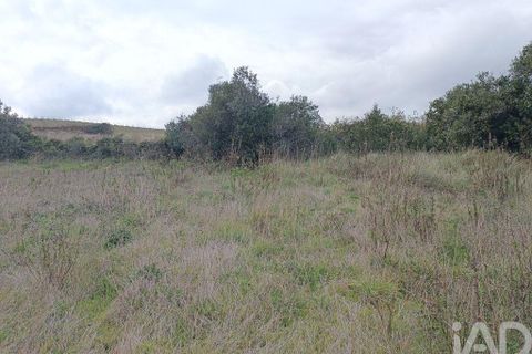 Terra a Alenquer, Lisbon, Alenquer - € 35.000 | Ref: 131633 - foto 14