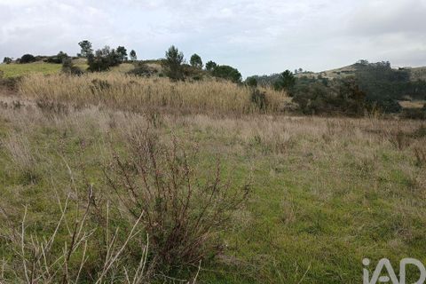 Terra a Alenquer, Lisbon, Alenquer - € 35.000 | Ref: 131633 - foto 17