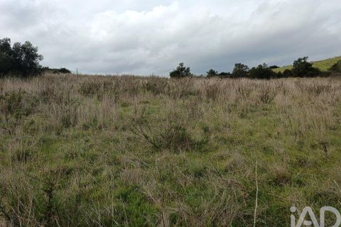 Terra a Alenquer, Lisbon, Alenquer - € 35.000 | Ref: 131633 - foto 19