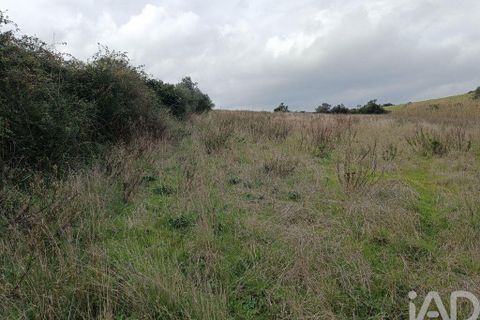 Terra a Alenquer, Lisbon, Alenquer - € 35.000 | Ref: 131633 - foto 24