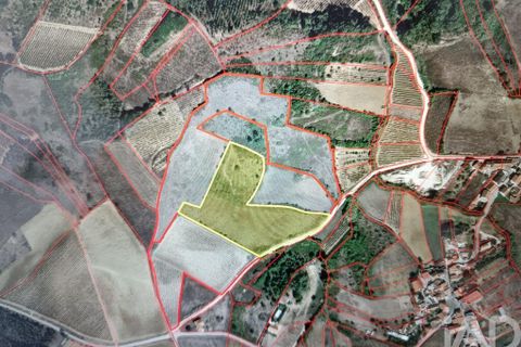 Terra a Alenquer, Lisbon, Alenquer - € 35.000 | Ref: 131633 - foto 25