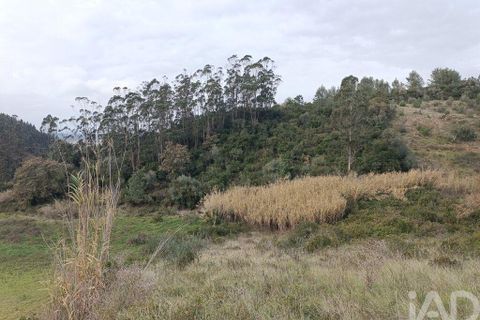 Terra a Alenquer, Lisbon, Alenquer - € 14.500 | Ref: 131636 - foto 2