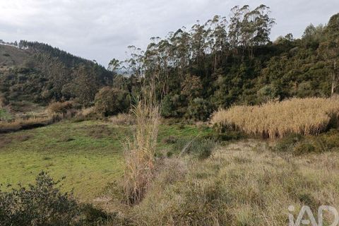 Terra a Alenquer, Lisbon, Alenquer - € 14.500 | Ref: 131636 - foto 4