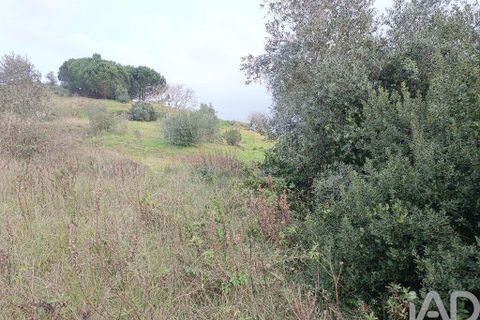 Terra a Alenquer, Lisbon, Alenquer - € 14.500 | Ref: 131636 - foto 5