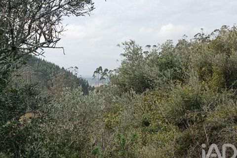 Terra a Alenquer, Lisbon, Alenquer - € 14.500 | Ref: 131636 - foto 6