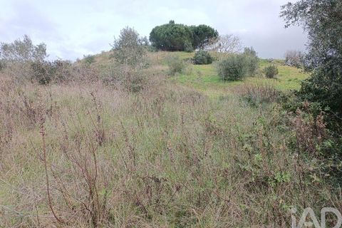 Terra a Alenquer, Lisbon, Alenquer - € 14.500 | Ref: 131636 - foto 7