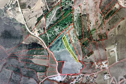 Terra a Alenquer, Lisbon, Alenquer - € 14.500 | Ref: 131636 - foto 8