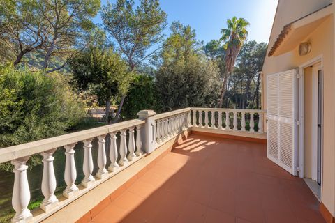 Villa i Pollenca, Mallorca, Pollenca - € 1.425.000 | Ref: POL40904 - foto 15