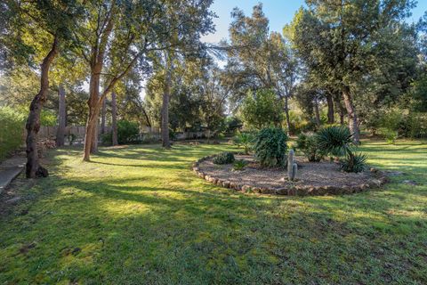 Villa i Pollenca, Mallorca, Pollenca - € 1.425.000 | Ref: POL40904 - foto 22