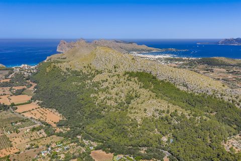 Landejendom i Pollenca, Mallorca, Pollenca - € 1.950.000 | Ref: POL53047ETV - foto 35