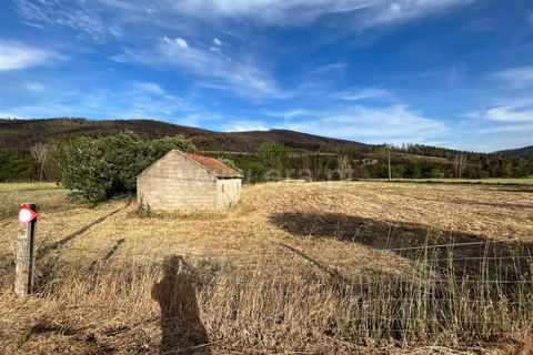 Helårsgrund i Guarda, Guarda, Guarda - € 23.000 | Ref: 046230151 - foto 2