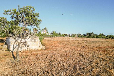 Villa i Lagoa, Faro, Lagoa - € 1.315.000 | Ref: 119240087 - foto 12
