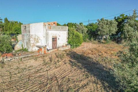 Villa i Lagoa, Faro, Lagoa - € 1.315.000 | Ref: 119240087 - foto 19