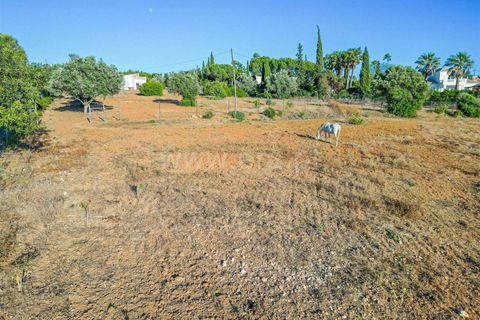 Villa i Lagoa, Faro, Lagoa - € 1.315.000 | Ref: 119240087 - foto 20