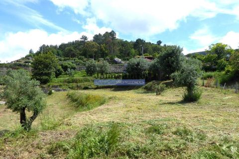 Helårsgrund i Ponte de Lima, Viana do Castelo, Ponte de Lima - € 57.000 | Ref: 9580_T - foto 3