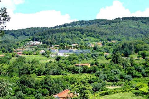 Helårsgrund i Ponte de Lima, Viana do Castelo, Ponte de Lima - € 57.000 | Ref: 9580_T - foto 1