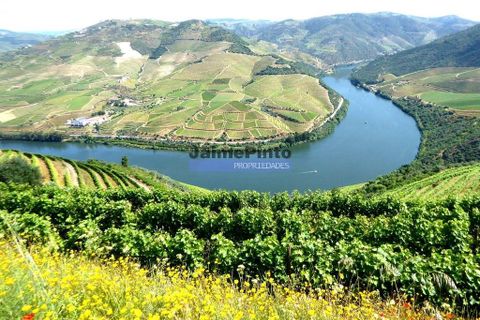 Farm i Alijo, Vila Real, Alijo - € 1.250.000 | Ref: 9591_Q - foto 4