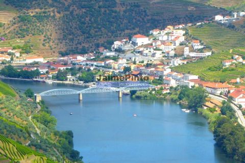 Farm i Alijo, Vila Real, Alijo - € 1.250.000 | Ref: 9591_Q - foto 9