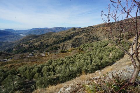 Landejendom i Canar, Granada, Canar - € 349.000 | Ref: CNC565 - foto 23