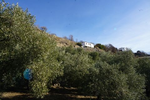 Landejendom i Canar, Granada, Canar - € 349.000 | Ref: CNC565 - foto 31